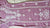 Lilac Long Lace Rayon Chikankari Kurta
