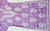 Siya Lavender Muslin Long Kurta with Heavy Chikankari