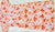 Tangerine orange Printed MulMul Kurta with Heavy Chikankari